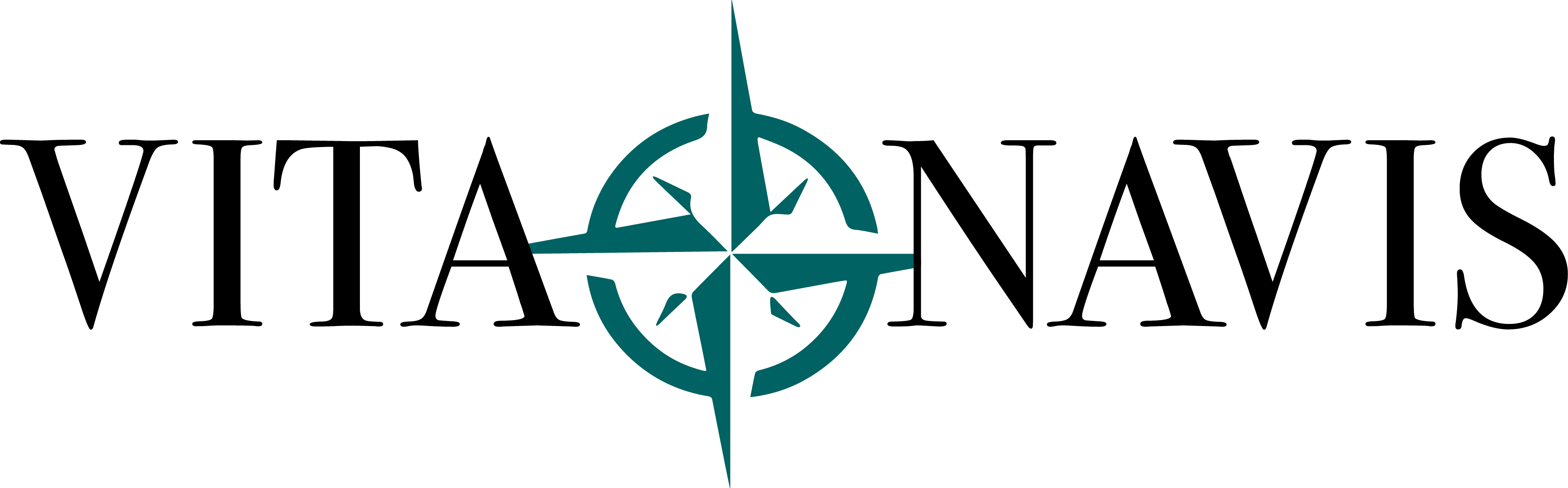 Vita Navis logo